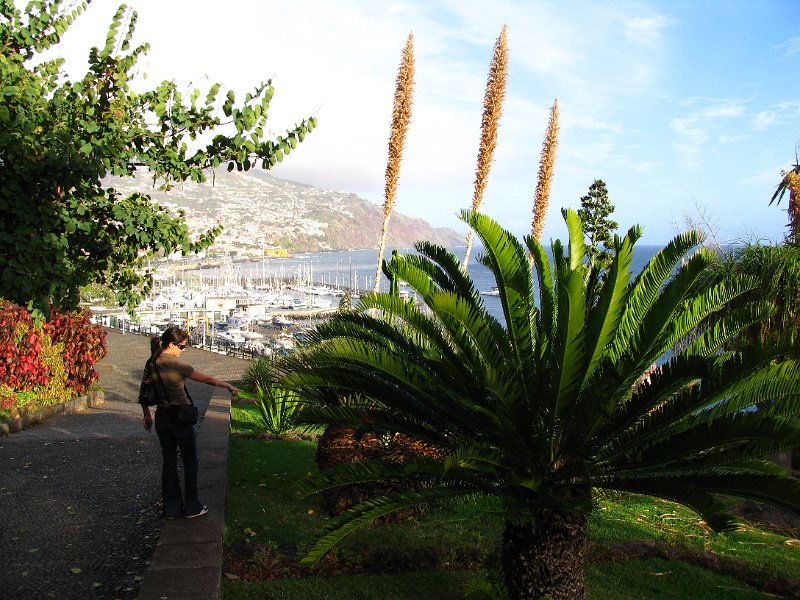 Madeira (57).jpg
